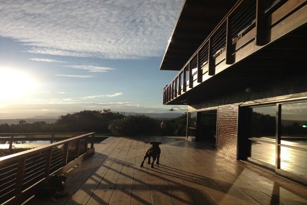 Apple Landscape JHB CC