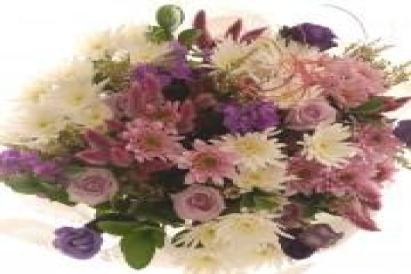 Bunches For Africa Western Cape