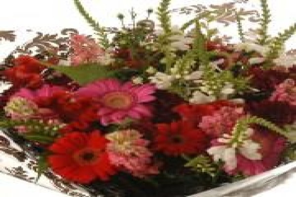 Bunches For Africa Western Cape