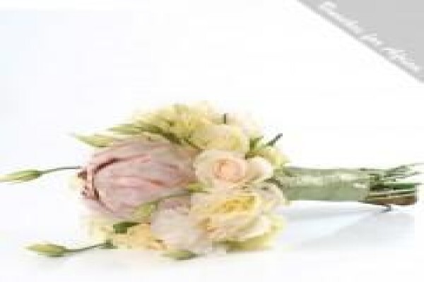 Bunches For Africa Western Cape