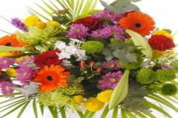 Bunches For Africa Western Cape