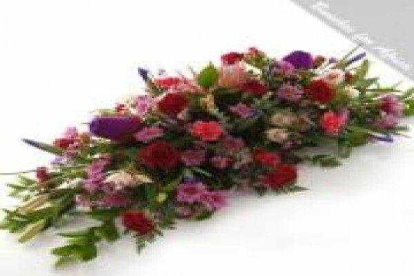 Bunches For Africa Western Cape