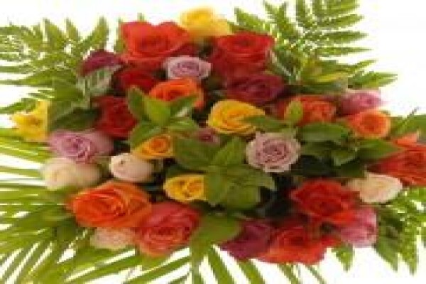 Bunches For Africa Western Cape