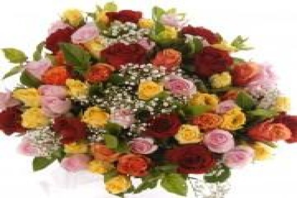 Bunches For Africa Western Cape