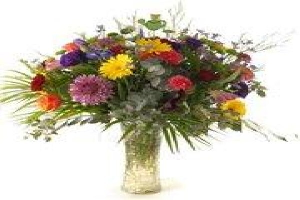 Bunches For Africa Western Cape