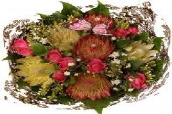Bunches For Africa Western Cape