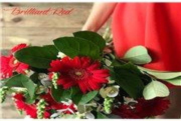 Bunches For Africa Western Cape
