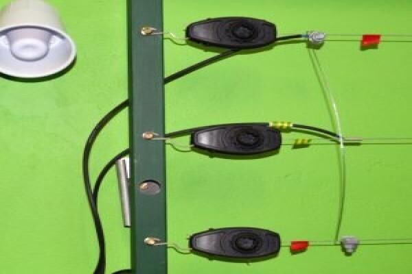 Electrical Contractors Association