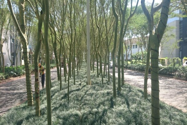 Jo-Anne Hilliar Landscape Design Consultants