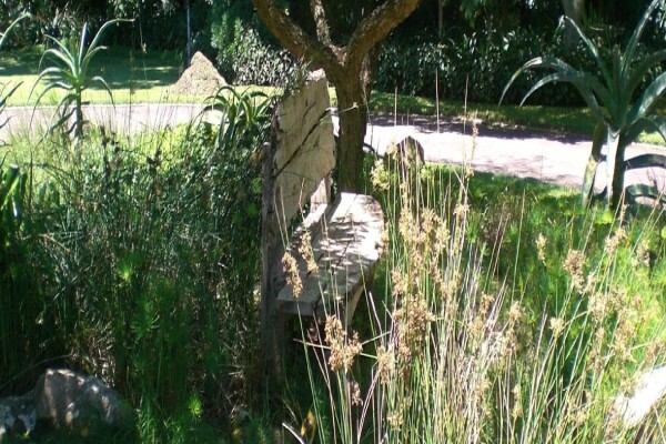 Jo-Anne Hilliar Landscape Design Consultants