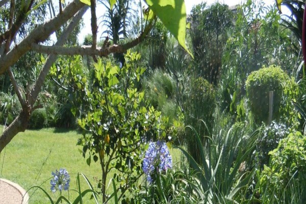 Jo-Anne Hilliar Landscape Design Consultants