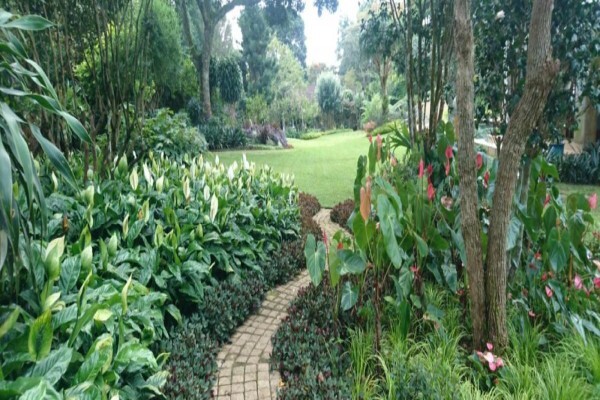 Jo-Anne Hilliar Landscape Design Consultants