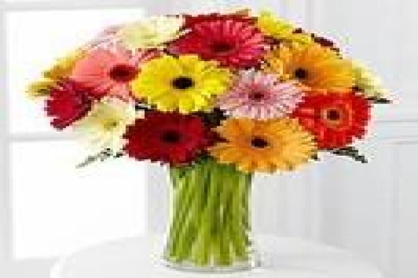 Flower Paradise