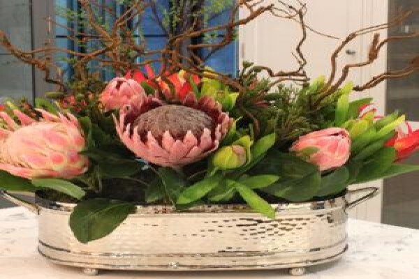 Silk By Design (Pty) Ltd