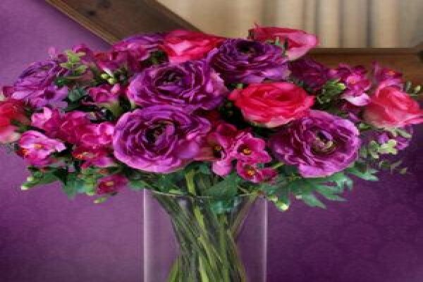 Silk By Design (Pty) Ltd