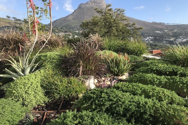 Longman's Landscaping