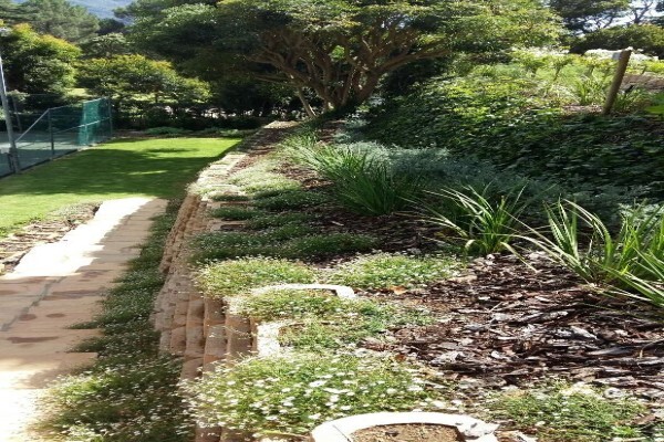 Longman's Landscaping