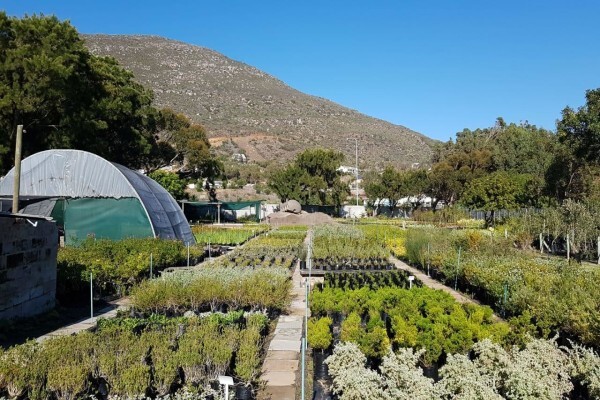 Longman's Landscaping