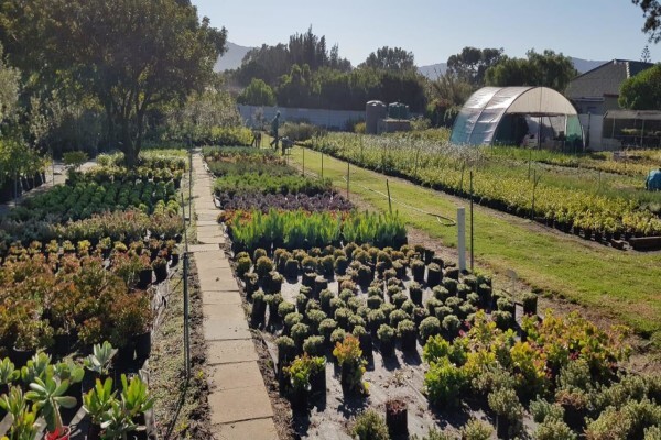 Longman's Landscaping