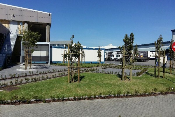 Longman's Landscaping