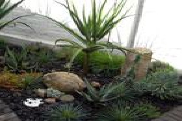 Executive Landscaping
