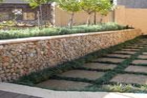 Executive Landscaping