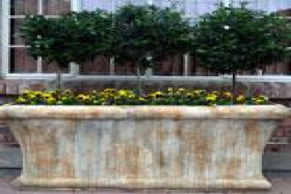 Executive Landscaping