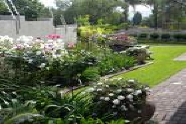 Executive Landscaping
