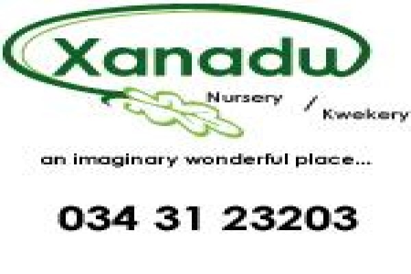 Executive Landscaping