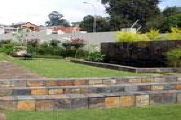 Executive Landscaping