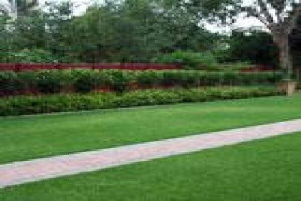 Executive Landscaping