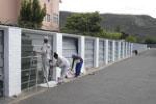 Walker Bay Painters