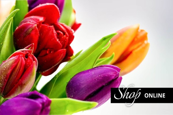 Cape Floral Designs