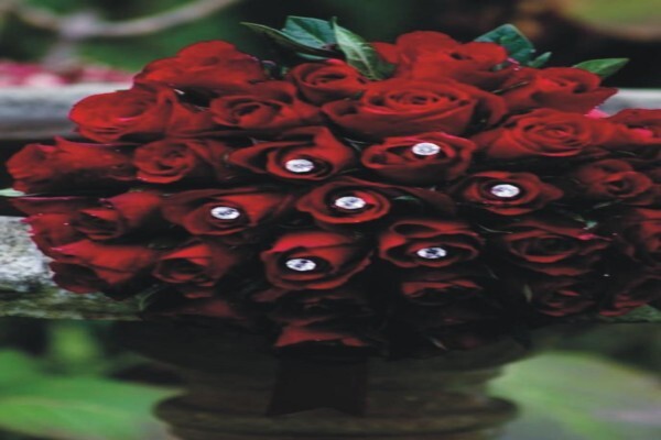 Cape Floral Designs