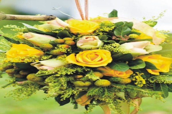 Cape Floral Designs