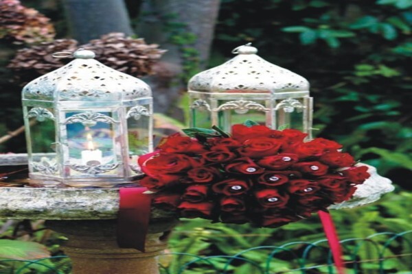Cape Floral Designs