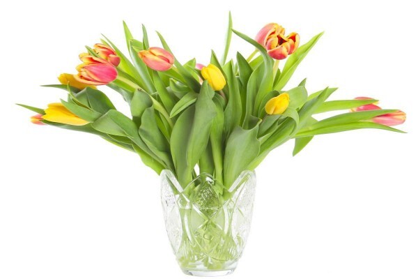 Cape Floral Designs