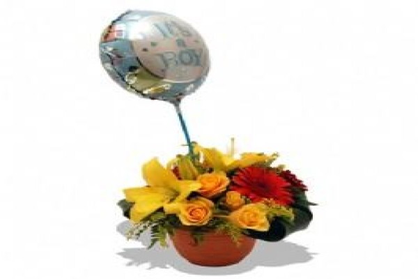 Flowers.co.za