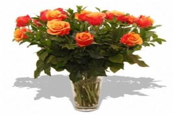 Flowers.co.za