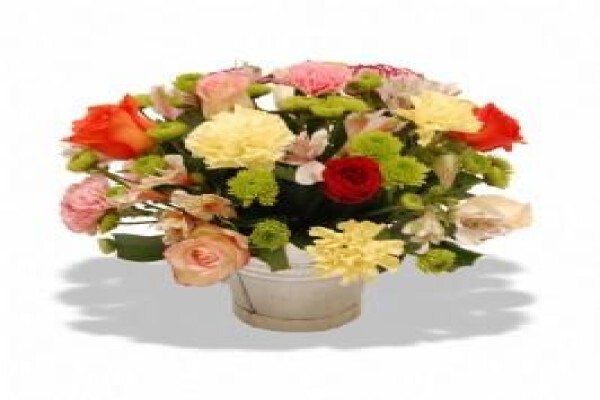 Flowers.co.za