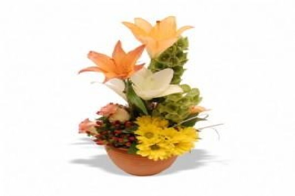 Flowers.co.za