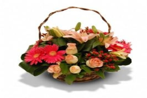 Flowers.co.za