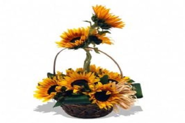 Flowers.co.za