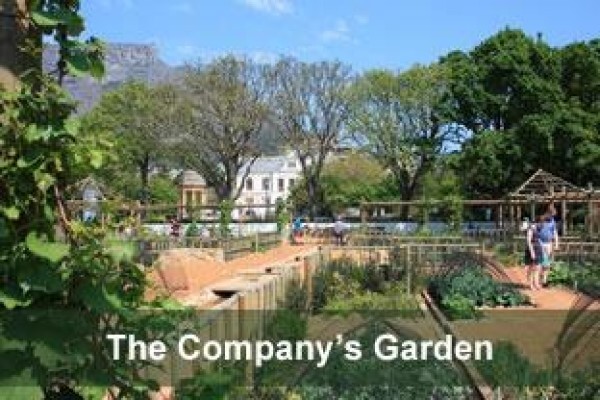 Urban Landscape Solutions