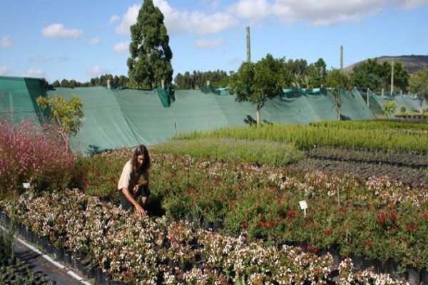 Urban Landscape Solutions