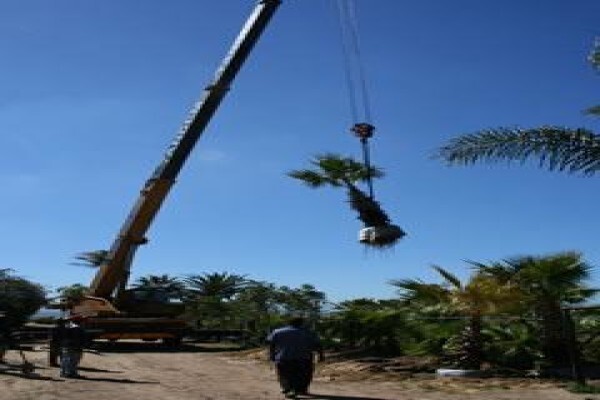 Urban Landscape Solutions
