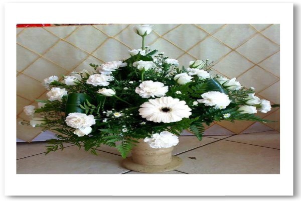 Floral D'Light