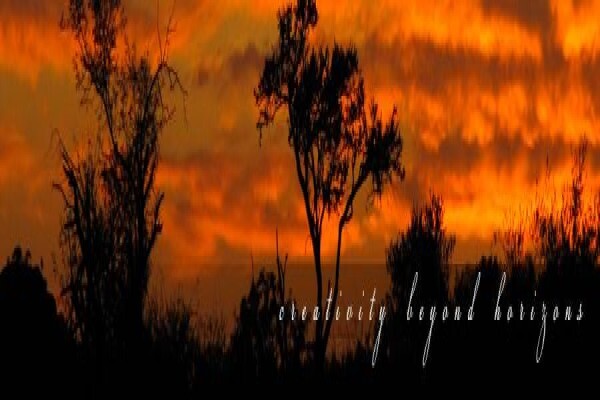 Engadini Landscaping CC