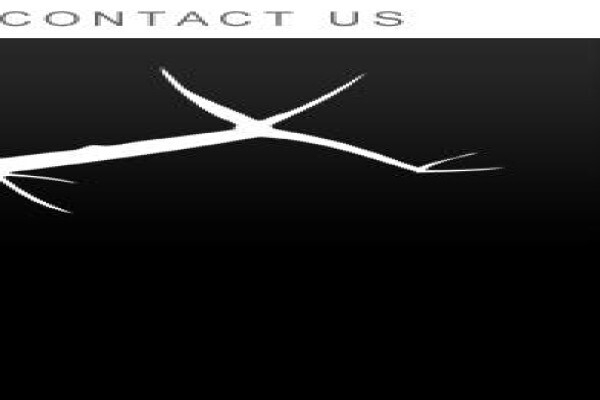Engadini Landscaping CC