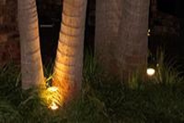 Engadini Landscaping CC
